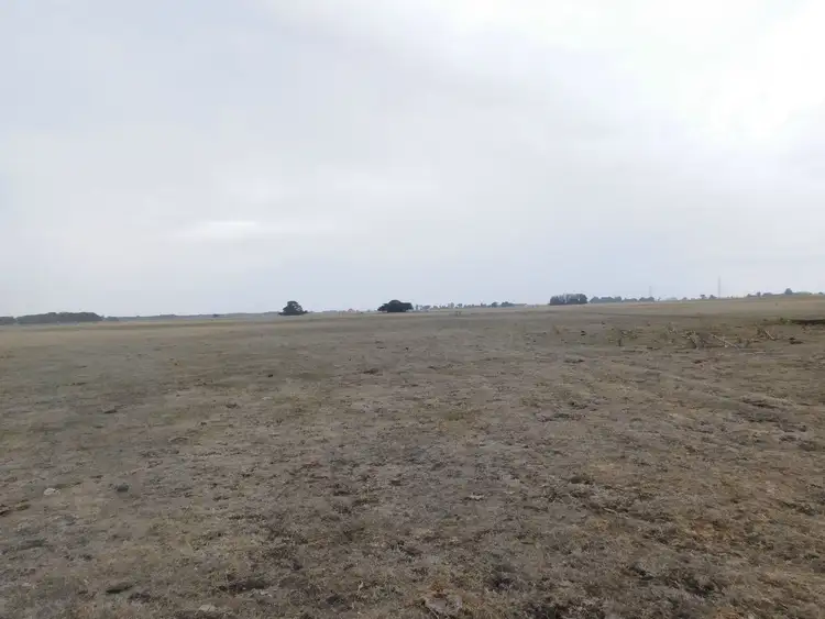 Seventh view of Homely rural property listing, L20 Balnaves Lane, Penola SA 5277