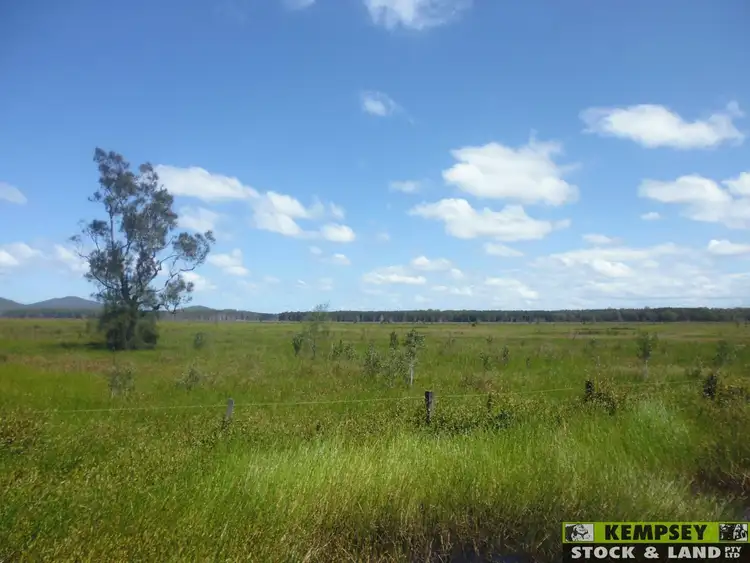 Second view of Homely rural property listing, 660 Left Bank Road, Belmore River NSW 2440