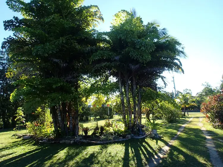 Sixth view of Homely house listing, 118 Hull Road, Hull Heads QLD 4854