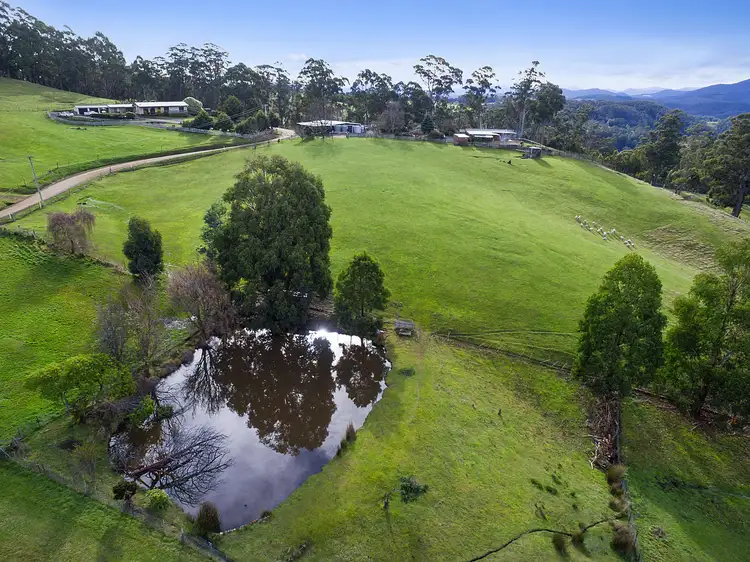 Seventh view of Homely house listing, 249 Missing Link Rd, Wattle Grove TAS 7109