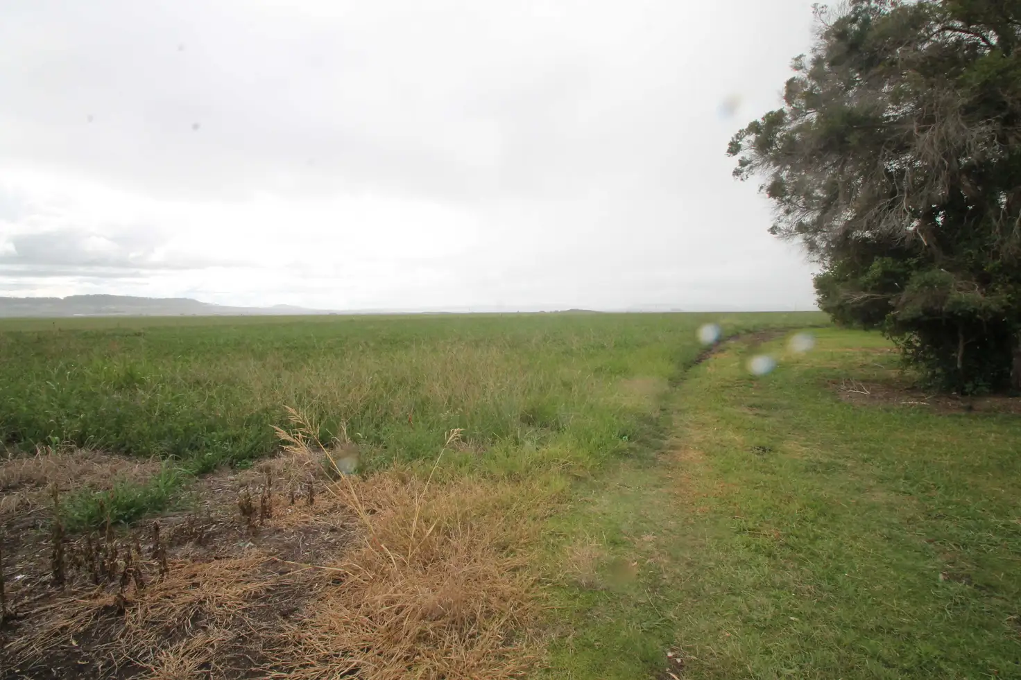 Main view of Homely land listing, Lots 7-11 Meara Pl, Clifton QLD 4361