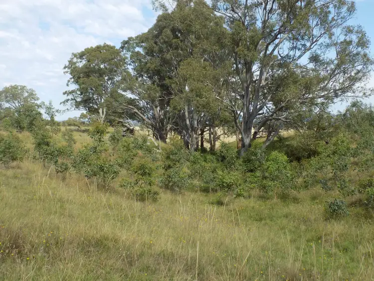 Third view of Homely land listing, 1321 Briagolong Road, Briagolong VIC 3860