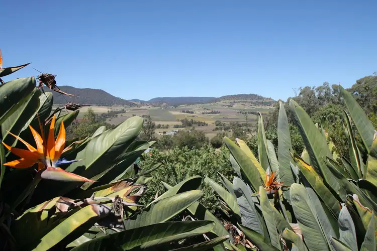 Third view of Homely rural property listing, 90 Rettkes Road, Warwick QLD 4370