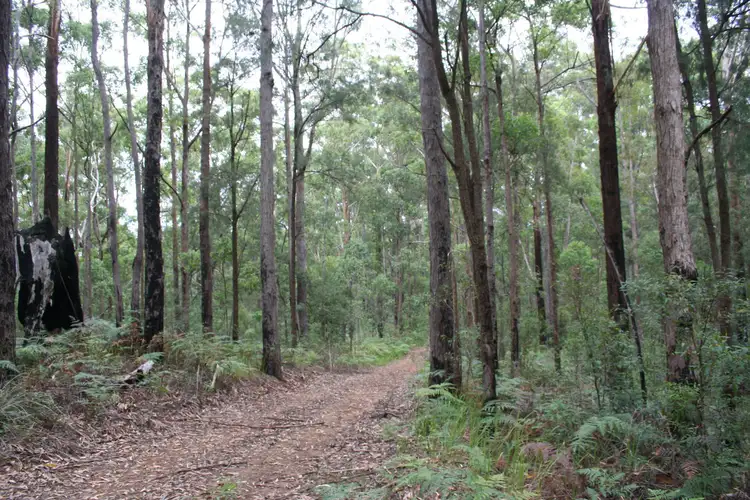 Sixth view of Homely land listing, L1 Sancrox Road, Sancrox NSW 2446