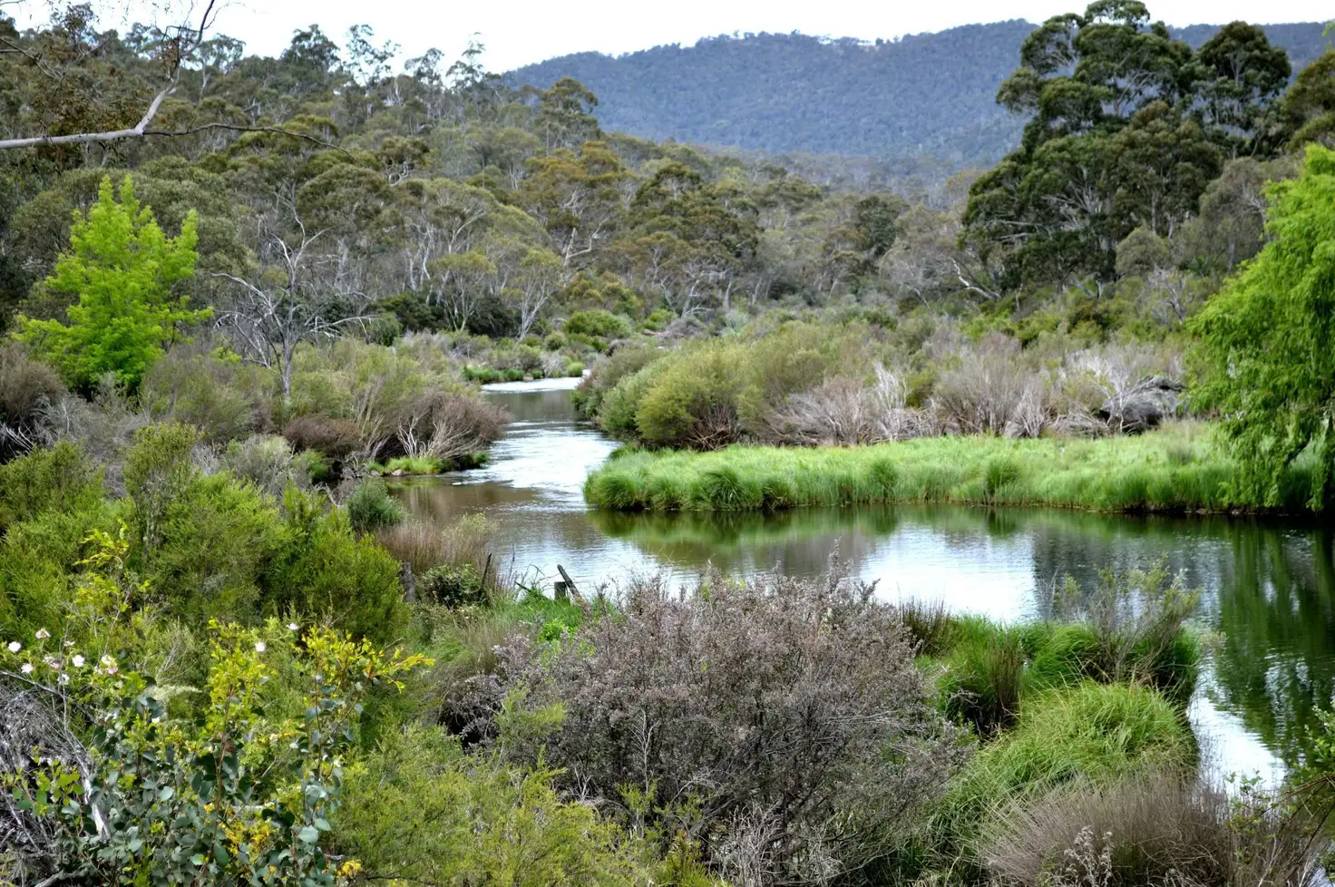 Main view of Homely rural property listing, 5473 Kosciuszko Road, East Jindabyne NSW 2627