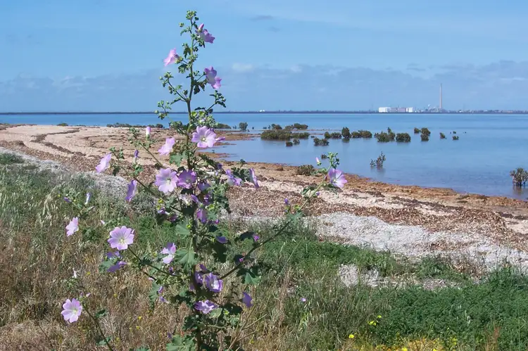 Fourth view of Homely land listing, Lot 355 Mount Ferguson Drive, Port Flinders SA 5495