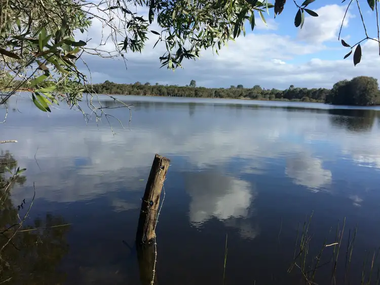 Main view of Homely rural property listing, 403 Abington Road, Abington QLD 4660