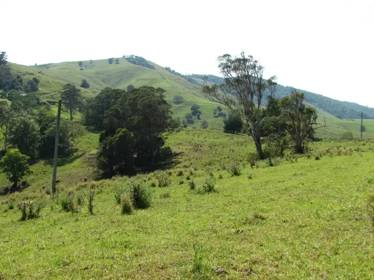 Fifth view of Homely rural property listing, 782 Bunyah Road, Bunyah NSW 2429