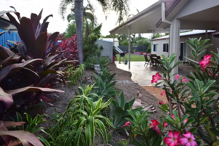 Third view of Homely house listing, 41 Normanby St, Wulguru QLD 4811