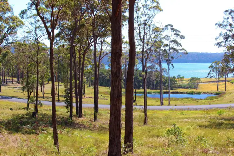 Fifth view of Homely land listing, Lot 8 Grenenger Road, Pambula NSW 2549