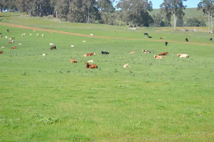 Sixth view of Homely rural property listing, Lot 483 Hawterville Road, Mullalyup WA 6252