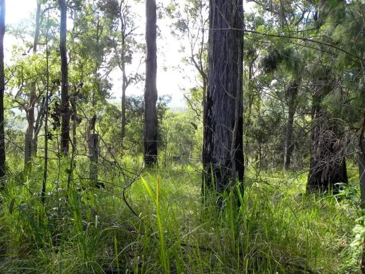 Sixth view of Homely rural property listing, 650 Bostock Road, Tucabia NSW 2462