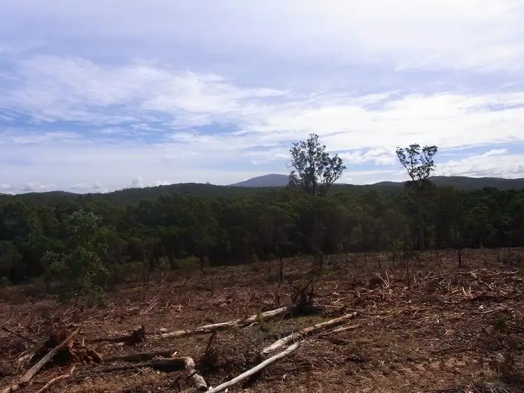 Second view of Homely rural property listing, Portion 35, Narrabarba NSW 2551