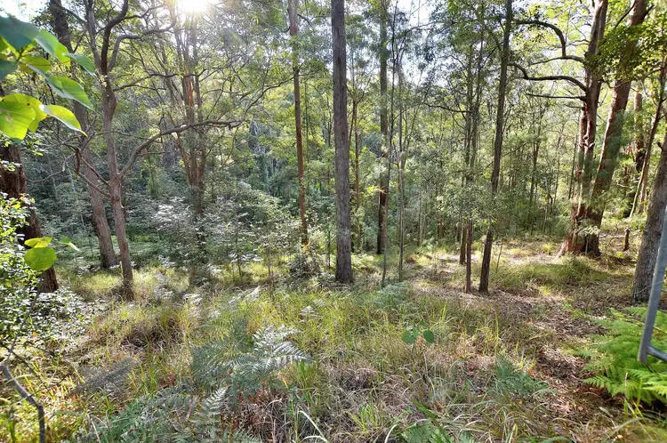 Second view of Homely land listing, 88 Rambert Road, Eudlo QLD 4554