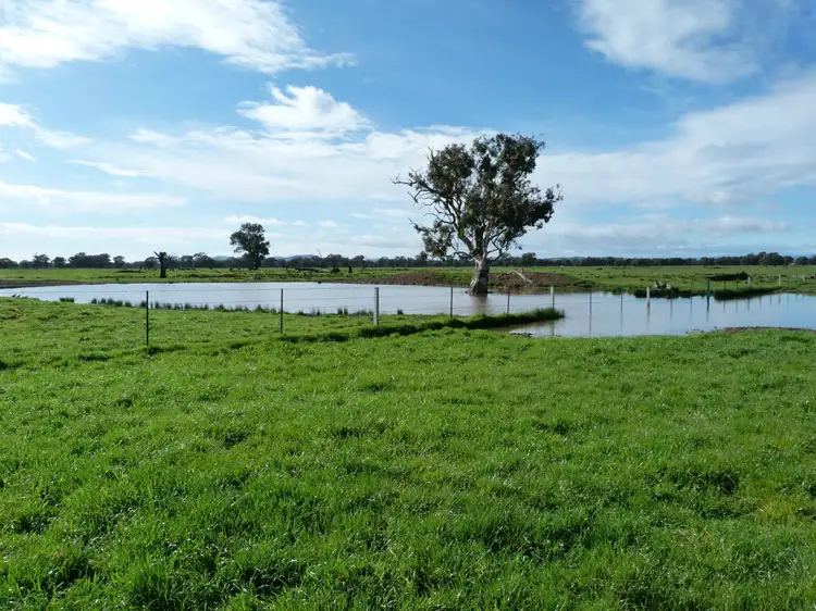 Fifth view of Homely rural property listing, L1 & 2 Morey Road, Benalla VIC 3672