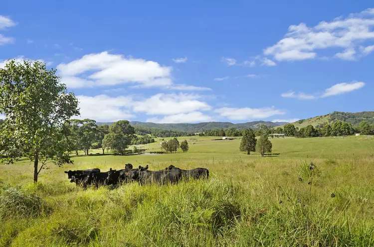 Fourth view of Homely rural property listing, 1742 Pipeclay Road, Pipeclay NSW 2446
