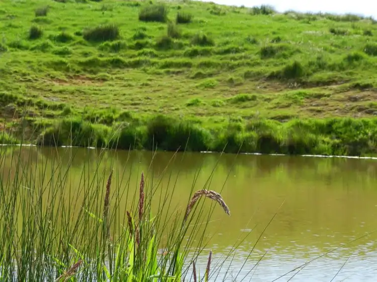 Fourth view of Homely rural property listing, Lot 201 James Track, Myponga SA 5202