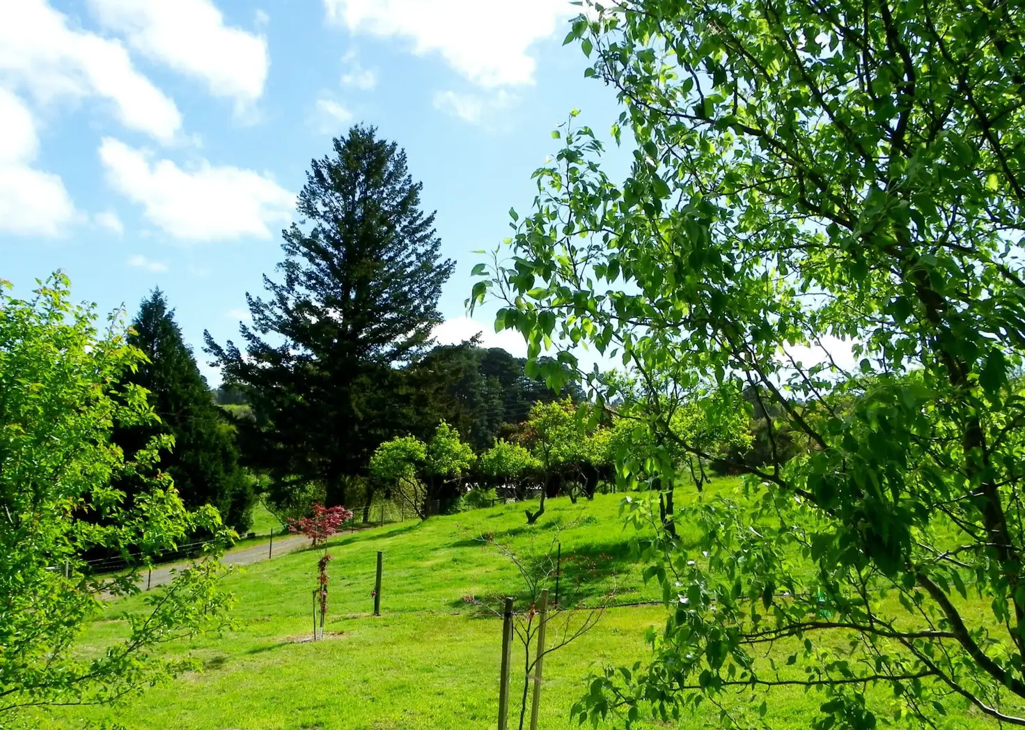 Main view of Homely rural property listing, 90 Tregarthen Road, Summertown SA 5141