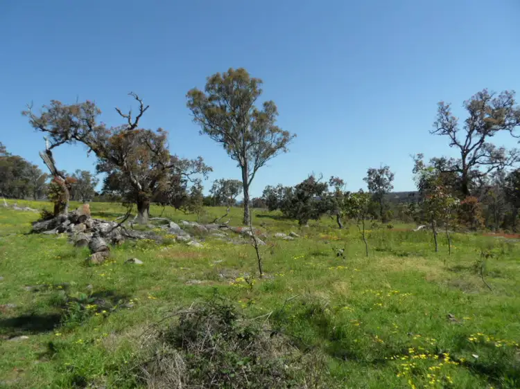 Sixth view of Homely rural property listing, 221 Border Gate Road, Stanthorpe QLD 4380