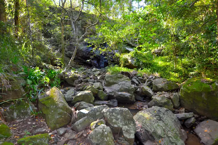 Fourth view of Homely land listing, 145 Kirbys Road, Montville QLD 4560