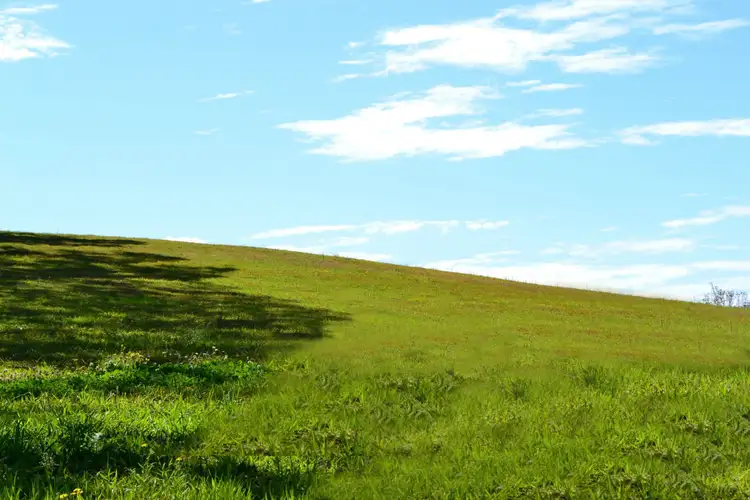 Seventh view of Homely other listing, 849 Fernleigh Road, Brooklet NSW 2479