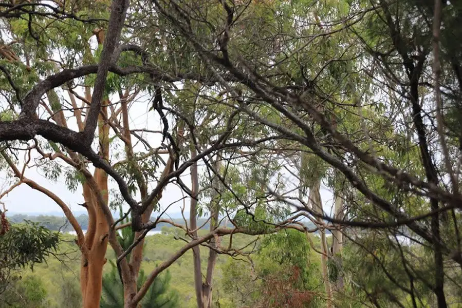 Main view of Homely land listing, 28-30 Charles Terrace, Macleay Island QLD 4184