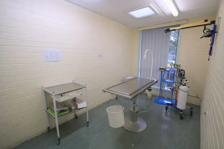 Sixth view of Homely house listing, 2 Irene Crescent, Eden NSW 2551