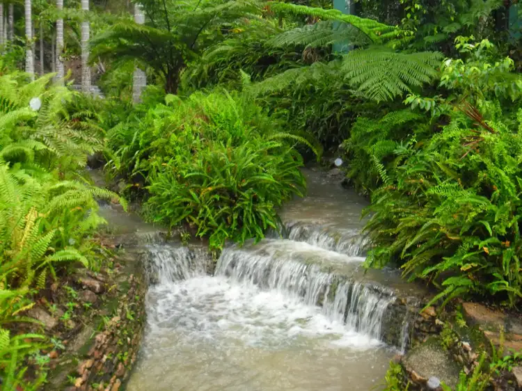 Lot 112 Gravel Pit Road, Cardwell QLD 4849