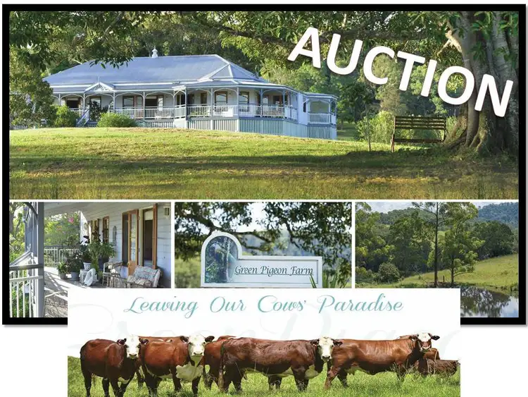 Second view of Homely rural property listing, 120 GHINNI GHI ROAD St, Kyogle NSW 2474