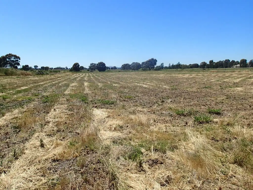 Main view of Homely land listing, Lots 16 To 34 Campbell Street, Rutherglen VIC 3685