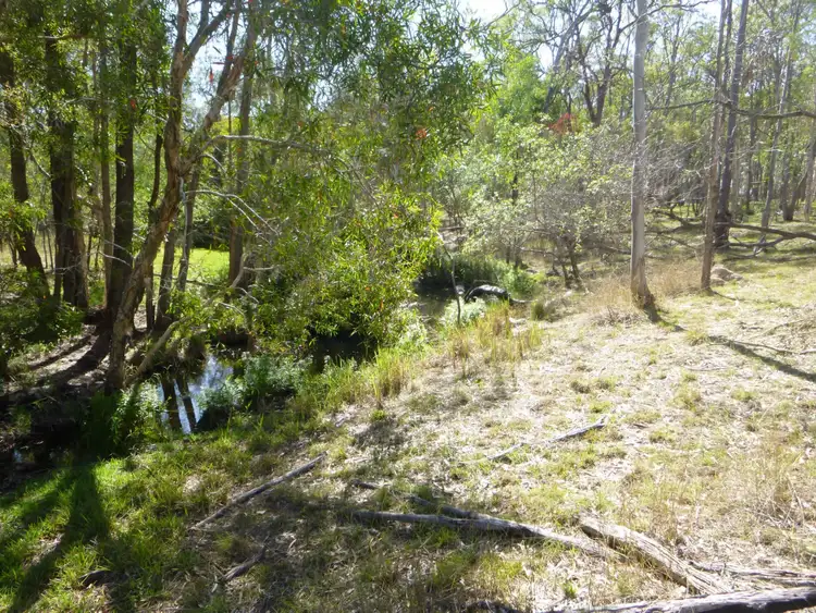 66 Junction Mountain Road, South Isis QLD 4660