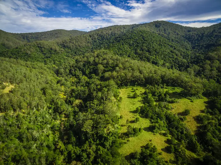 Third view of Homely rural property listing, Lot 2B 139 Testorellis Road, Gloucester NSW 2422