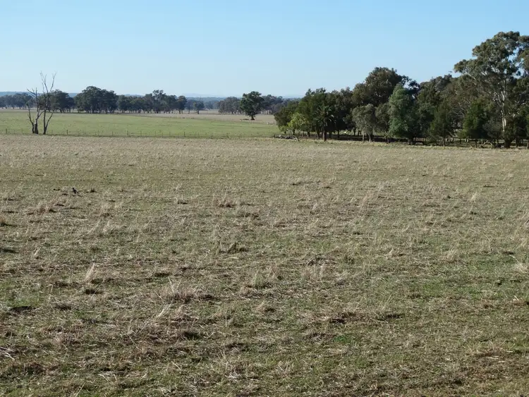 Fourth view of Homely rural property listing, Address available on request