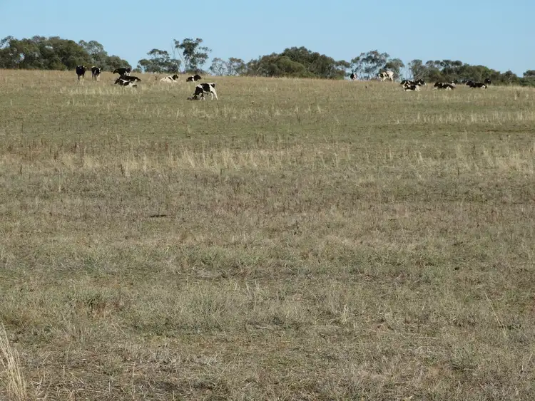 Seventh view of Homely rural property listing, Address available on request