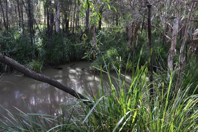 Seventh view of Homely land listing, Lot 1 Mungar Road, Yengarie QLD 4650