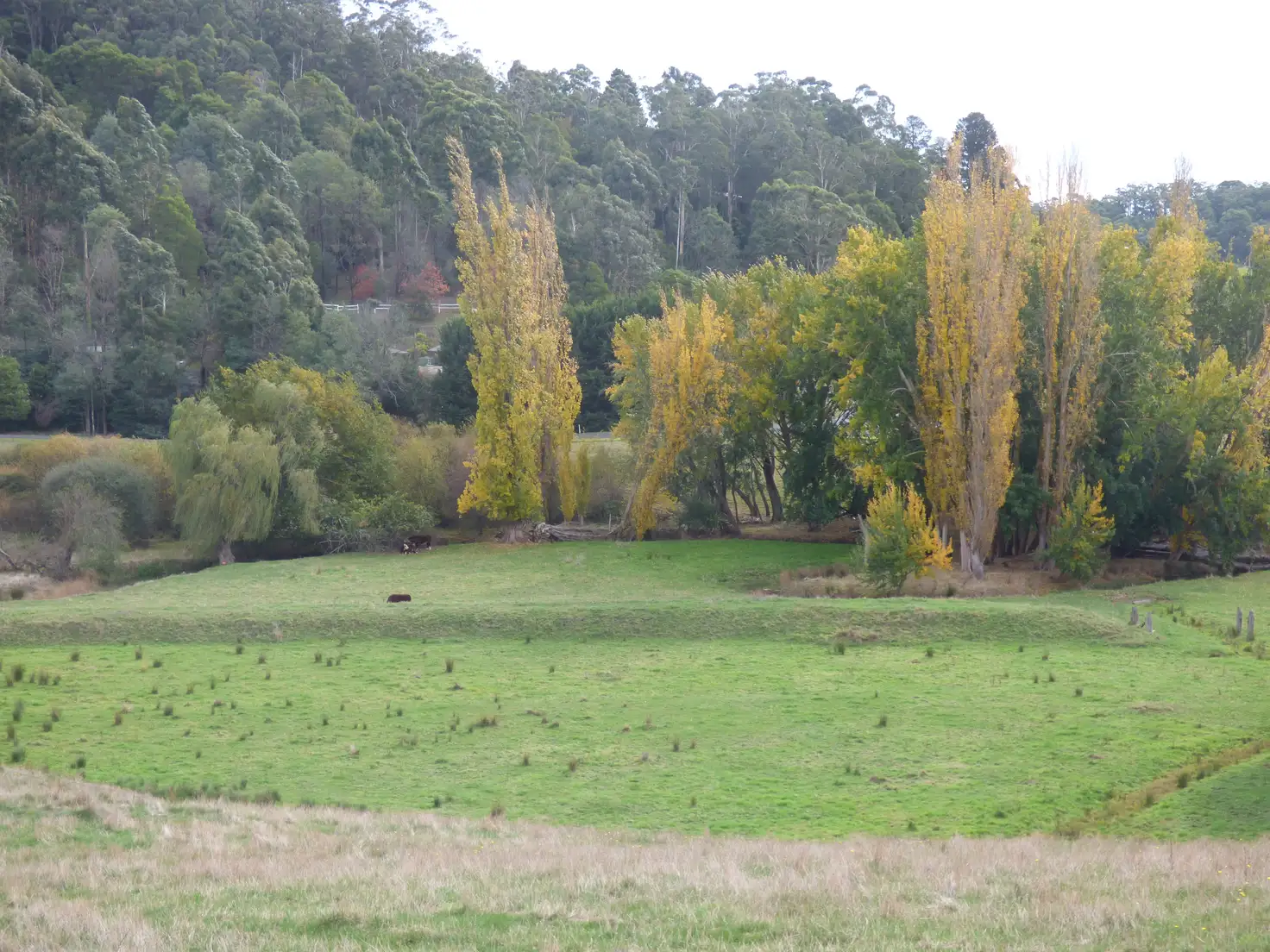 Main view of Homely house listing, 406 Coalville Road, Hernes Oak VIC 3825