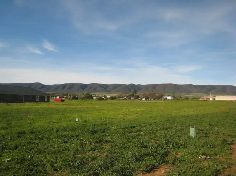 Second view of Homely land listing, Lot 971 Scenic Drive, Napperby SA 5540