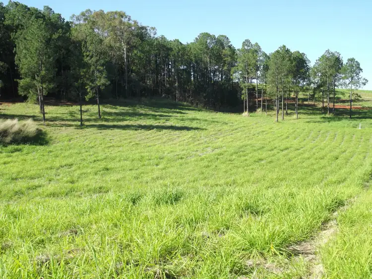 Main view of Homely land listing, Lot 22 Fieldhead Road, South Isis QLD 4660