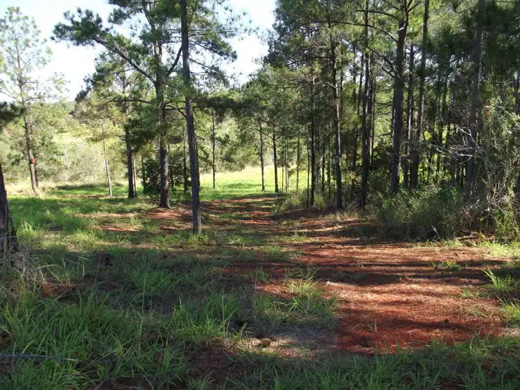 Second view of Homely land listing, Lot 22 Fieldhead Road, South Isis QLD 4660