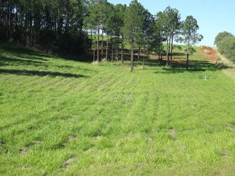 Fourth view of Homely land listing, Lot 22 Fieldhead Road, South Isis QLD 4660