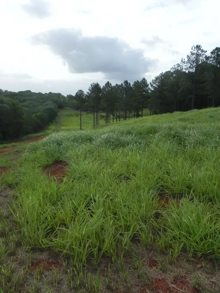 Sixth view of Homely land listing, Lot 22 Fieldhead Road, South Isis QLD 4660