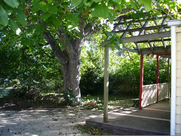 Second view of Homely house listing, 24 Riddoch Street, Penola SA 5277