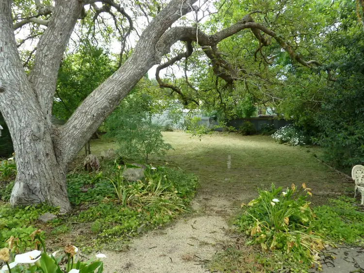 Fourth view of Homely house listing, 24 Riddoch Street, Penola SA 5277