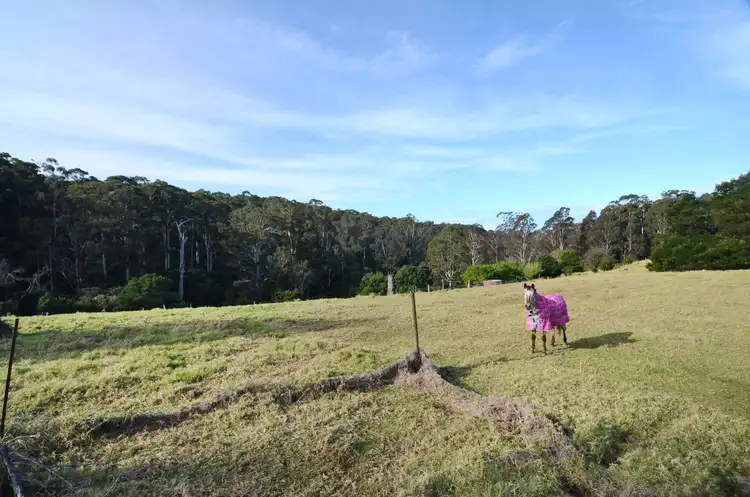Third view of Homely rural property listing, Lot 387 Nethercote Road, Eden NSW 2551