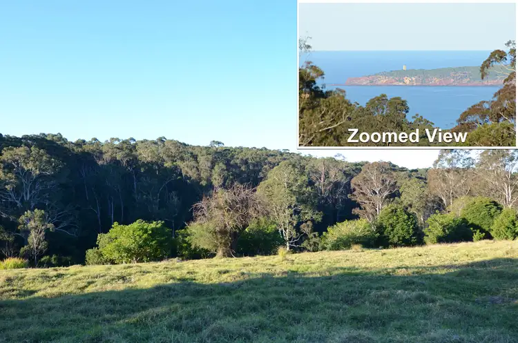 Fifth view of Homely rural property listing, Lot 387 Nethercote Road, Eden NSW 2551