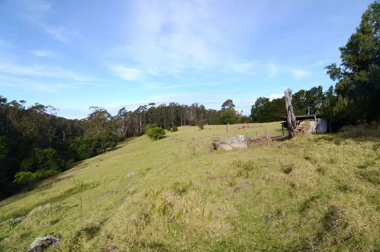 Sixth view of Homely rural property listing, Lot 387 Nethercote Road, Eden NSW 2551