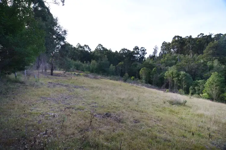 Seventh view of Homely rural property listing, Lot 387 Nethercote Road, Eden NSW 2551