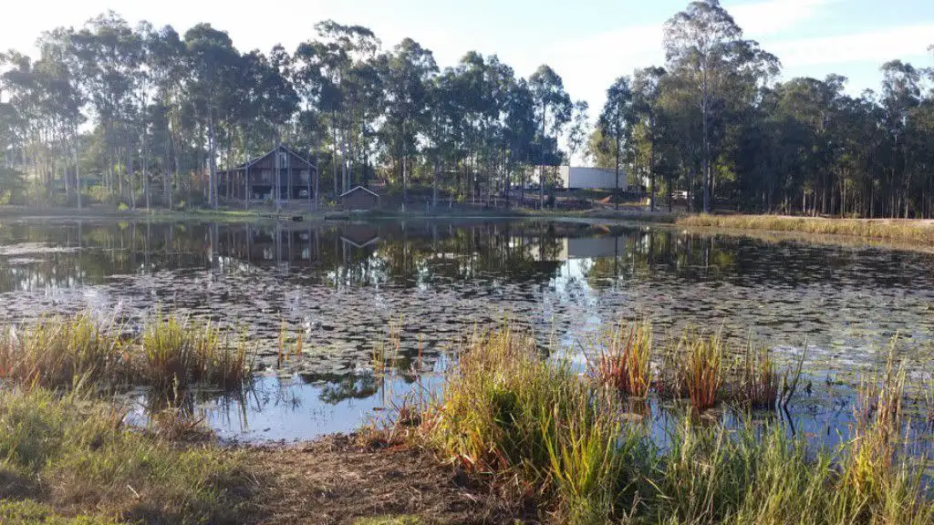 Main view of Homely rural property listing, 100 Wilsons Road, Tiaro QLD 4650