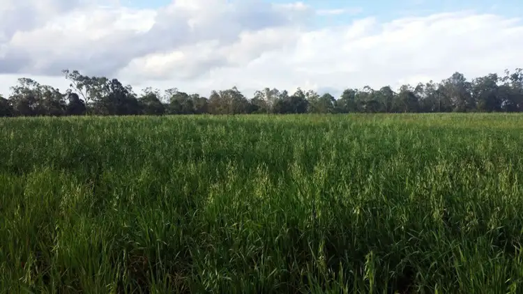 Third view of Homely rural property listing, 100 Wilsons Road, Tiaro QLD 4650