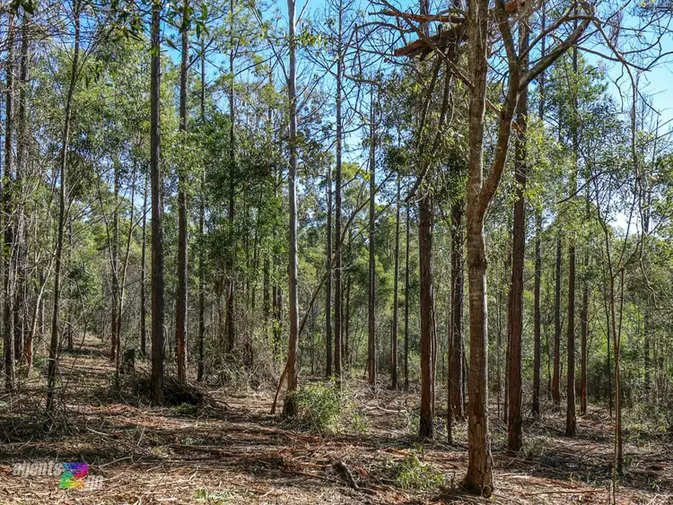 Seventh view of Homely land listing, 639 Arbortwentytwo Road, Glenwood QLD 4570